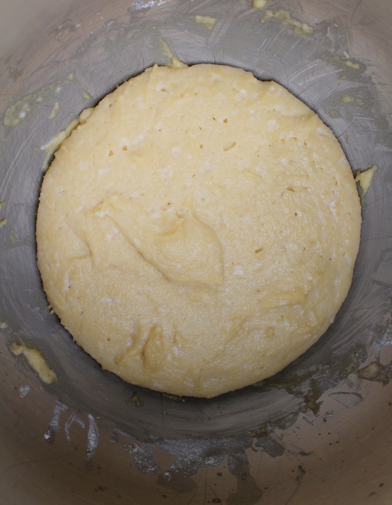 After 75-90 minutes, the dough should look something like this. Not a whole lot bigger, but different, which is exciting.