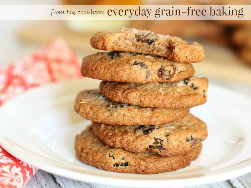 everyday grainfree baking almost oatmeal cookies