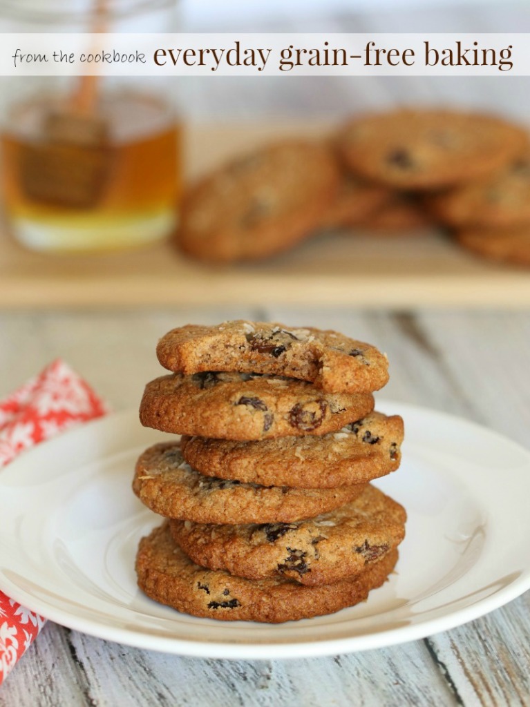 everyday grainfree baking almost oatmeal cookies