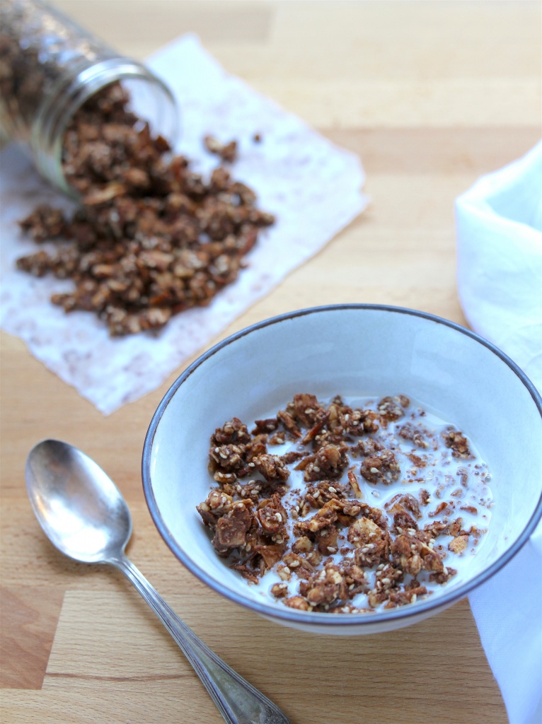 chocolate-pb-granola2