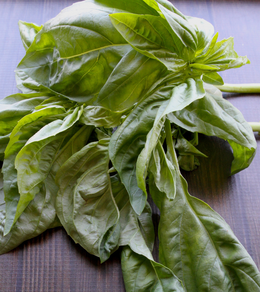 basil lime vinaigrette 