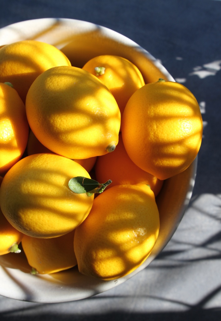 preserved lemons