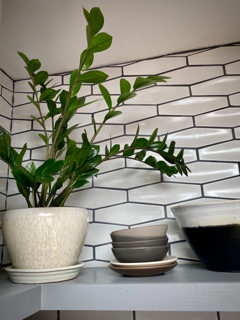 houseplants alive